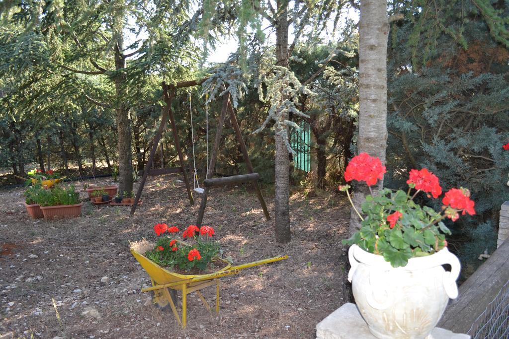 קסטל דל מונטה B&B Le Stagioni מראה חיצוני תמונה
